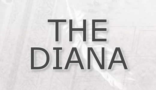 THE DIANA 尾張・一宮・春日井のメンズエステ求人