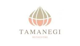 TAMANEGI（タマネギ）の求人速報　堺筋本町・本町・阿波座のメンズエステ求人
