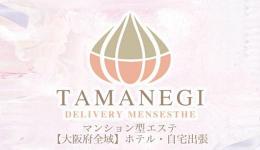 TAMANEGIの求人速報　梅田・東梅田・北新地のメンズエステ求人