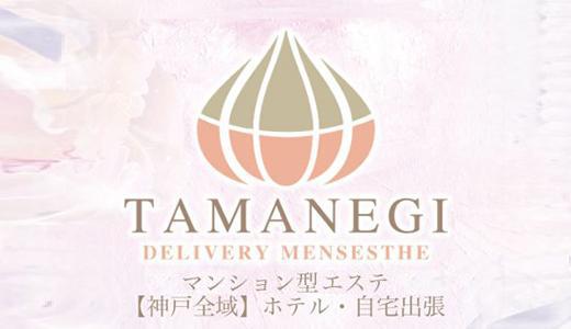 TAMANEGI(タマネギ)神戸店の求人画像