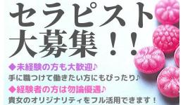 RERE武蔵小杉店の求人速報　武蔵小杉・溝の口・登戸のメンズエステ求人