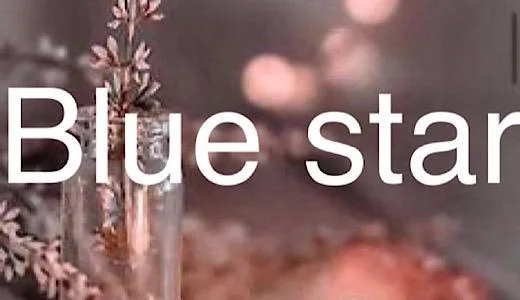 Blue star 巣鴨・大塚のメンズエステ求人