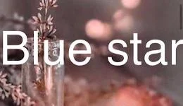 Blue starの求人速報　巣鴨・大塚のメンズエステ求人