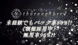 thoroughbredの求人速報　難波・日本橋・桜川のメンズエステ求人